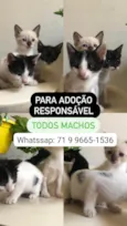 Não tem nomes