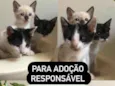 Não tem nomes