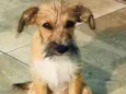 Zeca