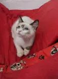 LUNA