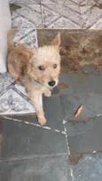 Spike