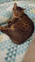 Julio