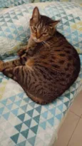 Julio