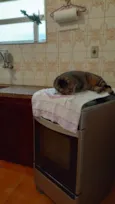 Julio