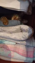 Julio