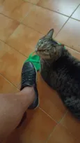 Julio