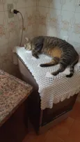 Julio