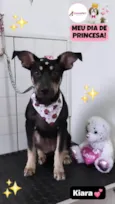 Kiara
