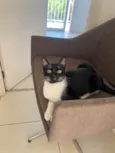MIA