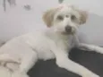 Princesa 