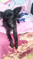 Geórgia bb10meses porte bem pequeno