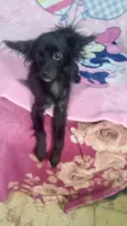 Geórgia bb10meses porte bem pequeno