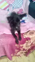Geórgia bb10meses porte bem pequeno