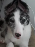 Alaska
