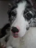 Alaska