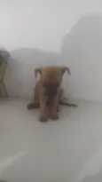 Bebê 1