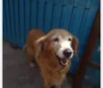 Princesa