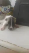 Bebê 1