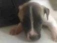 Bebê 1
