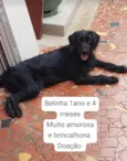 Belinha