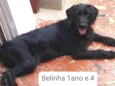 Belinha
