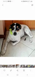 Julie