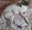 Julie