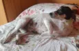 Julie