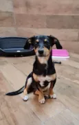 LUNA