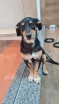 LUNA