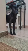 MINE