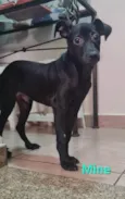 MINE