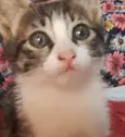 Nina