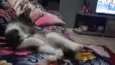Nina