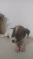 Bebê 2