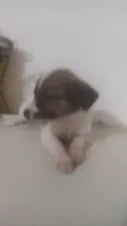 Bebê 2