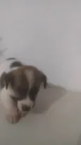 Bebê 2