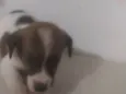 Bebê 2