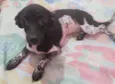 Minnie