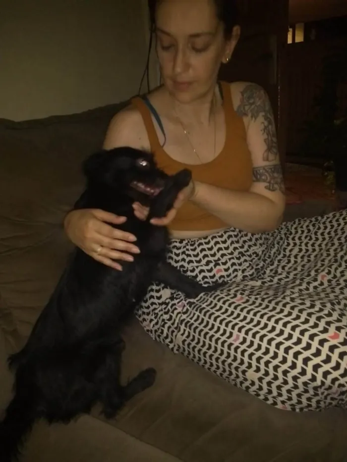 Cachorro ra a SRD-ViraLata idade 7 a 11 meses nome Branquinha 