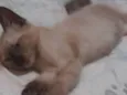 Menina
