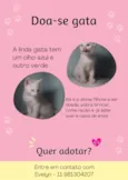 Gata