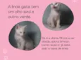 Gata