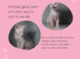Gata