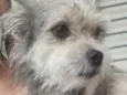 Bingo