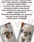 Amora