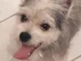 Bingo