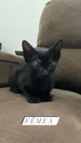 Bbs