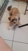 Spike