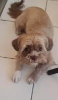 Spike
